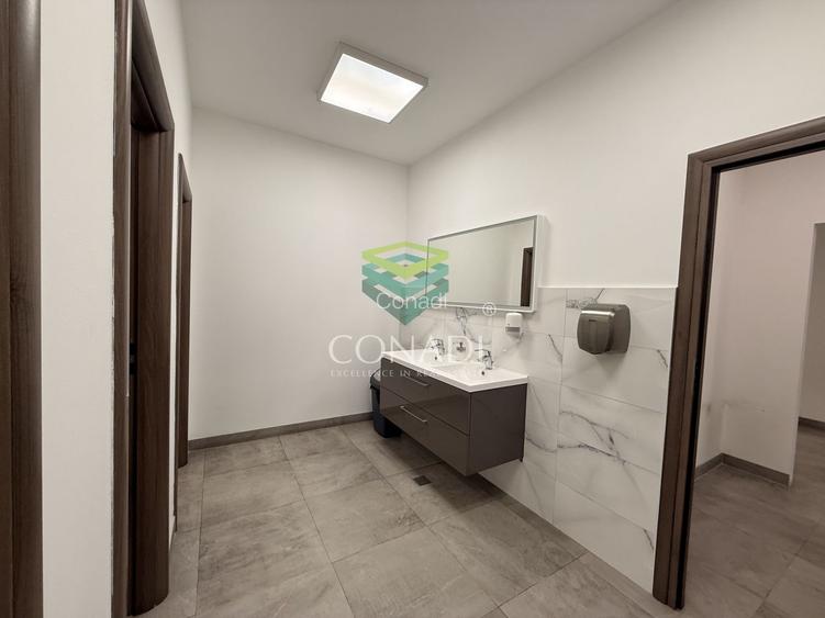 Hale premium cu Spatiu de birouri | Oxigenului | Cernica | A2 | A0 - 18