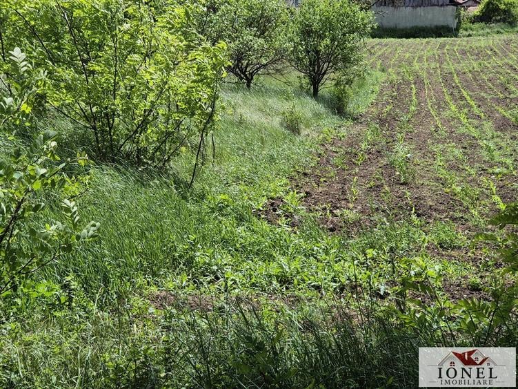 Teren intravilan de vanzare in Santimbru