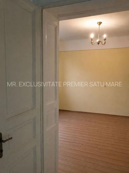 Casă de vânzare cu teren generos în Valea lui Mihai - 7