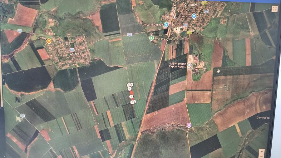 Timisoara Ortisoara-tere agricol 4 hectare comasat