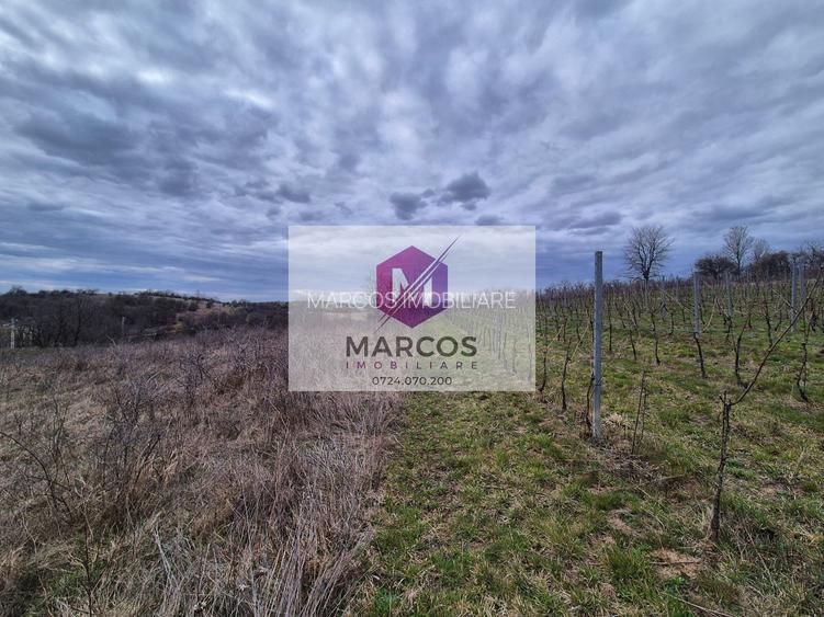 Vand 2 parcele de 5700 mp zona Iabalcea