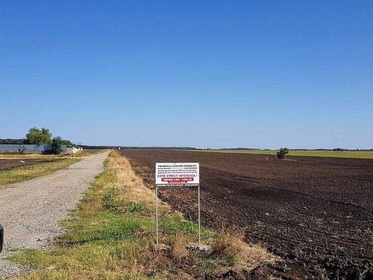 Teren intravilan de vânzare Brănești – DN3, deschidere 60 ml investie
