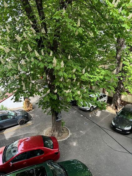 Apartament 2 camere ultracentral