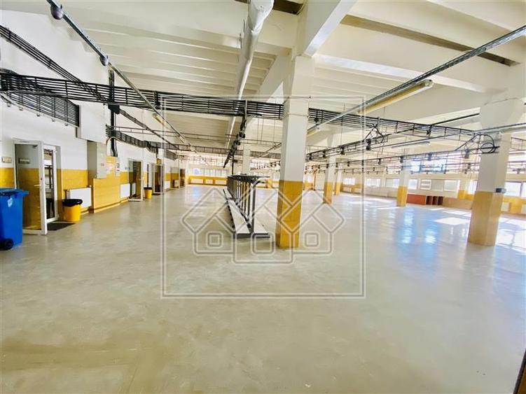 Spatiu industrial si de birouri in zona Terezian - finisaje moderne
