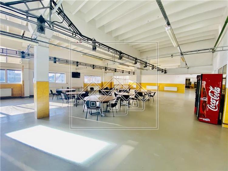Spatiu industrial si de birouri in zona Terezian - finisaje moderne