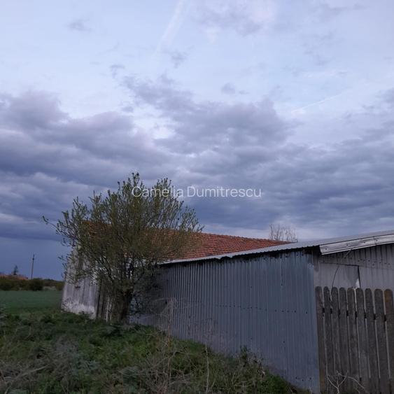 OPORTUNITATE! FERMA FUNCTIONALA, CASA RENOVATA SI TEREN 5HA - 16