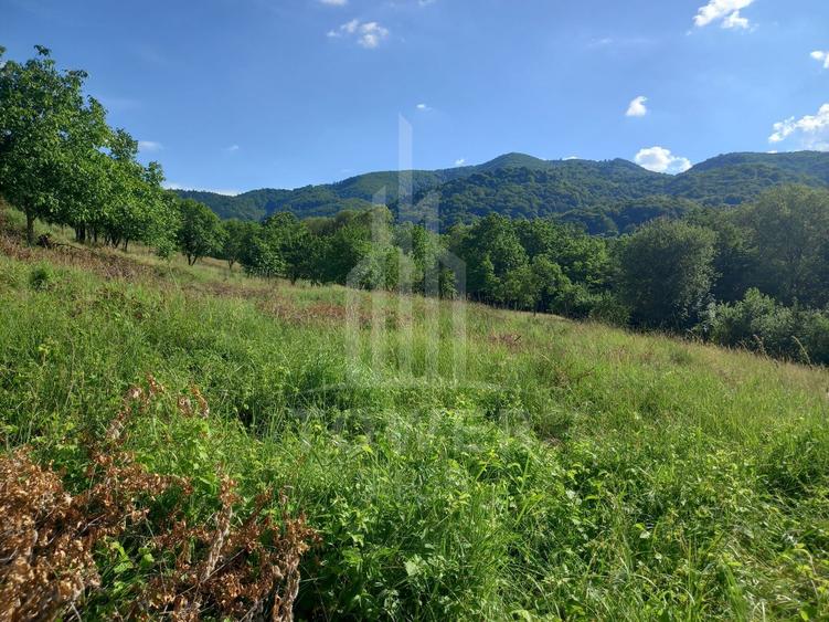 Teren în Fântânele – 3.673 mp, pârâu si cadru natural deosebit