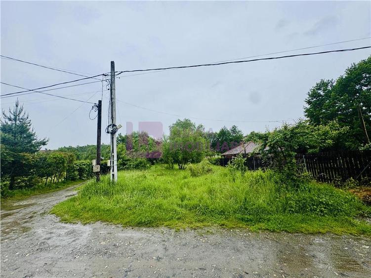 Teren intravilan 1600 mp | Valea Avrigului | zona turistica
