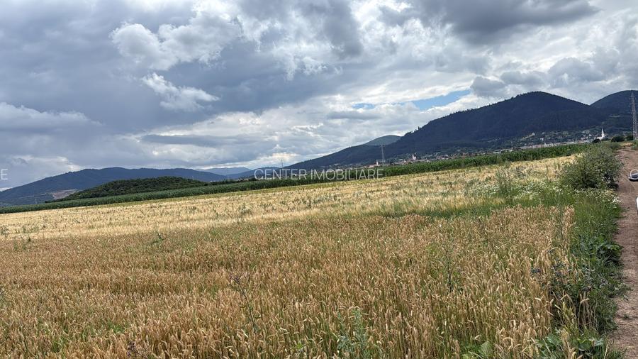 BRASOV,Teren agricol 19.600 mp, 1,96 ha/ Săcele,Front stradal 56 ml,Investiție - 4