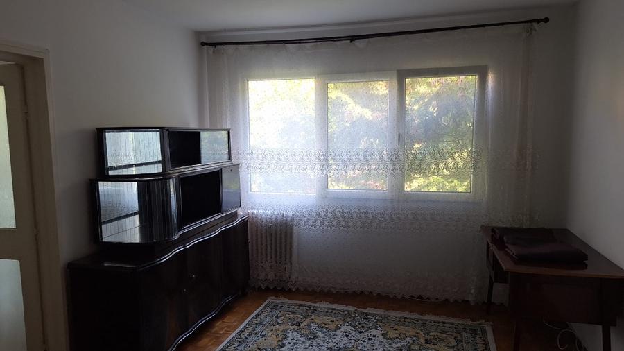 Persoana fizica,ap.linistit ,luminos - 6