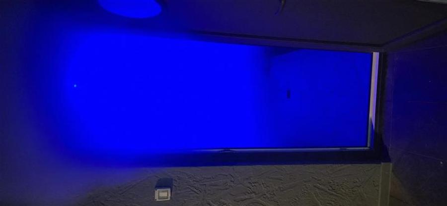 Vila PREMIUM, piscina, teren 2000 mp, POSTA CALNAU