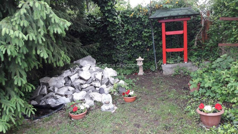 proprietar vand casa Negresti-Oas - 11