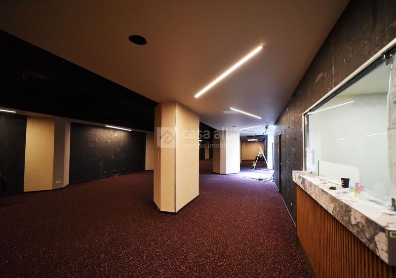 Alexandru cel Bun, spatiu excelent pozitionat, S+P, 800mp construiti