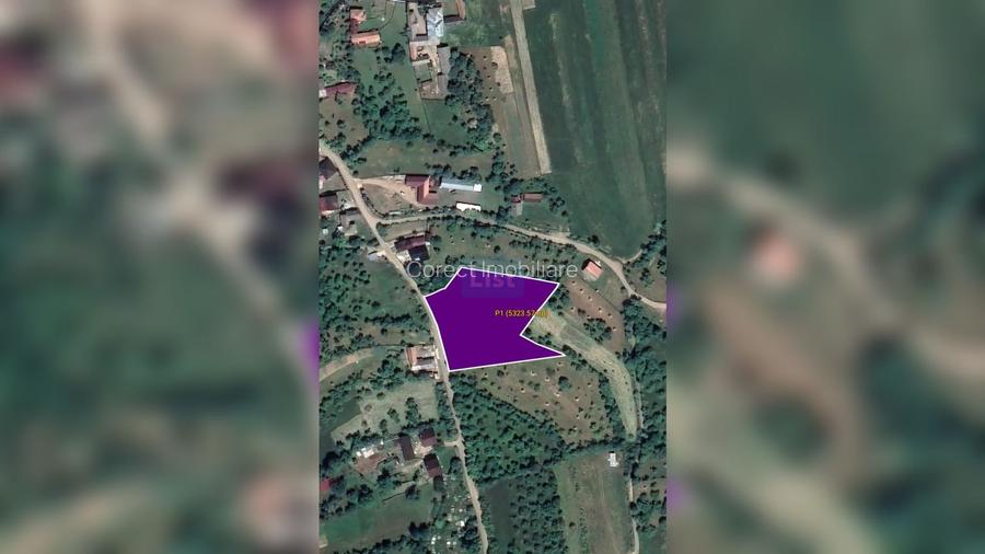 🌿 Teren de vânzare – Josenii Bargului - intravilan
