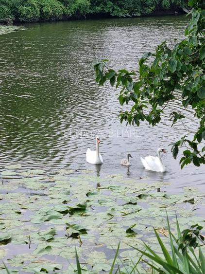 Arhitectură contemporană într-un cadru natural, aproape de Bucuresti - 44
