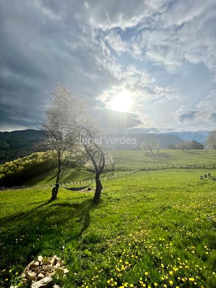 Teren 110.000 mp. in satul Pestera, comuna Moieciu - 6