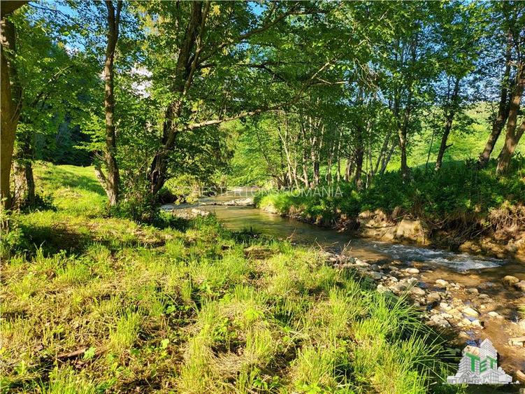 Teren Intravilan 12000 mp, Cascada Urlatoarea- Vama Buzaului, proiect aprobat pe - 16