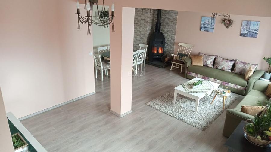 Oportunitate!! Casa individuala, afacere la cheie, Satu Mare