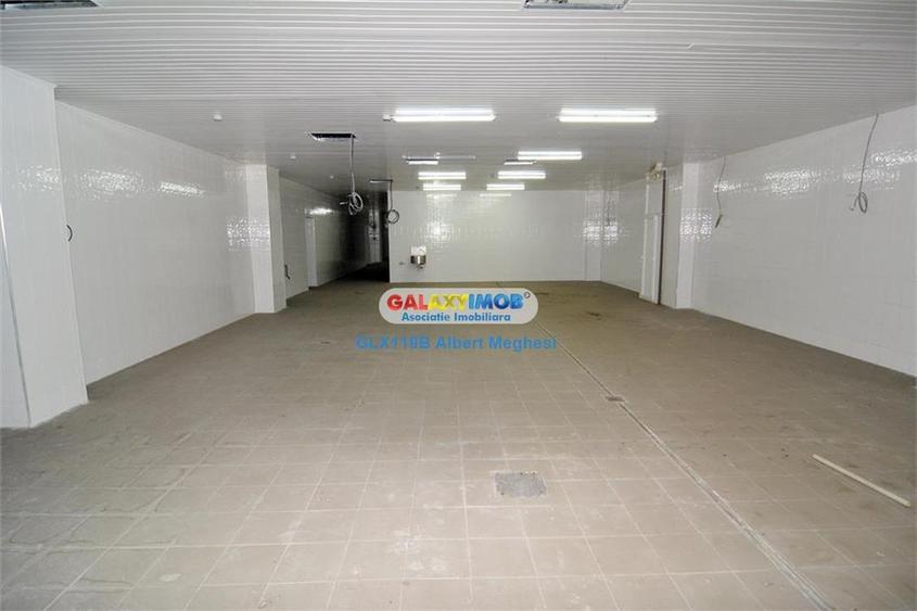 Vanzare spatiu productie alimentara P-ta Delfinului