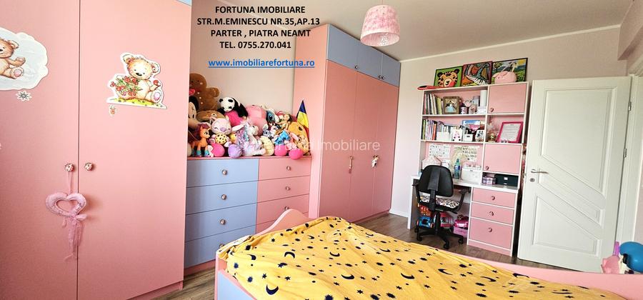 Proprietate Piatra Neamt - Casa moderna/ Camin de suflet - 10