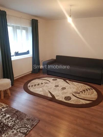 Cabana 4 camere zona Valea Avrigului - 12