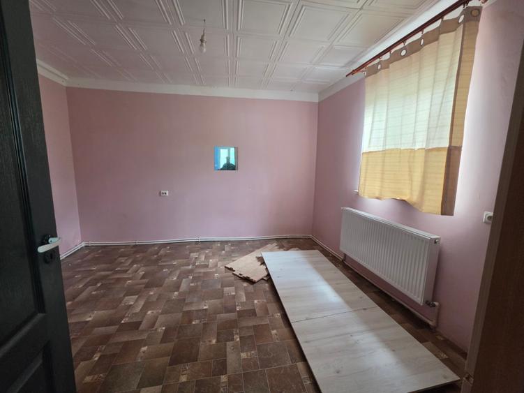 Petricani, strada Steaua Rosie, Lacul Plumbuita, 600 mp, toate utilitatile