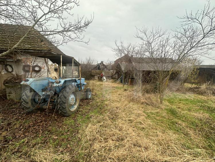 Casă cu teren generos de 6000 mp în Viile Satu Mare – zonă liniștită