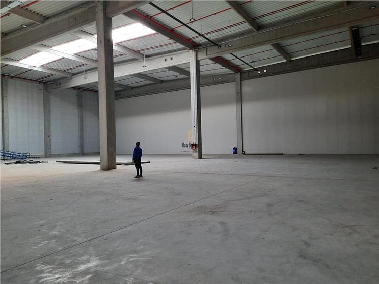 Spatiu Industrial - 5500 mp - Logistica - Productie - Depozitare - Distributie