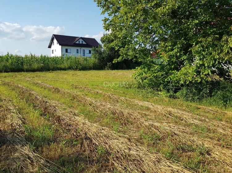 Teren intravilan de vanzare in Com. Adunatii Copaceni sat Darasti Vlasca jud GR. - 8