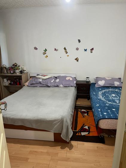 Apartament 3 camere NICOLINA, DECOMANDAT, parter, planul 2