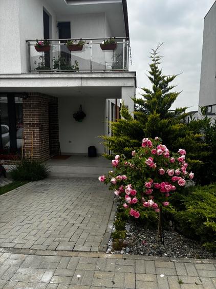 Casa premium 165 mp utili , mobilata si utilata complet, Mogoșoaia, proprietar