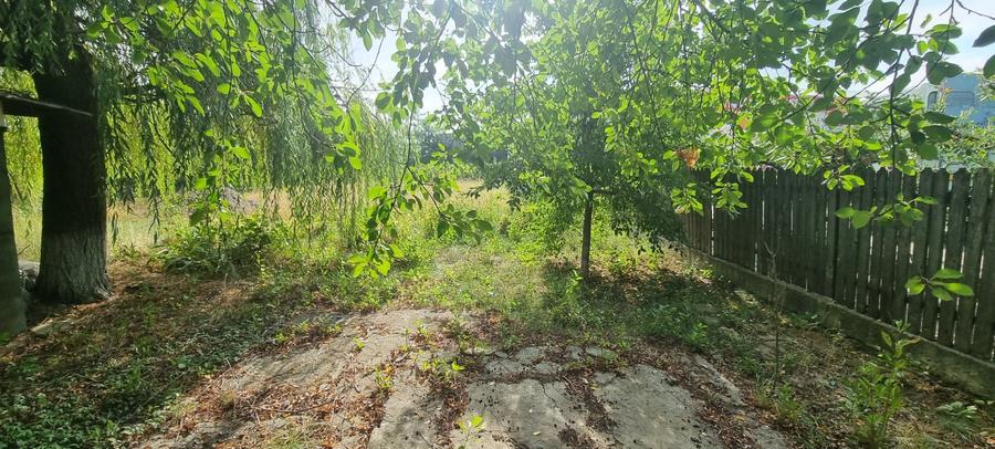 Teren la drumul European Botosani – Suceava