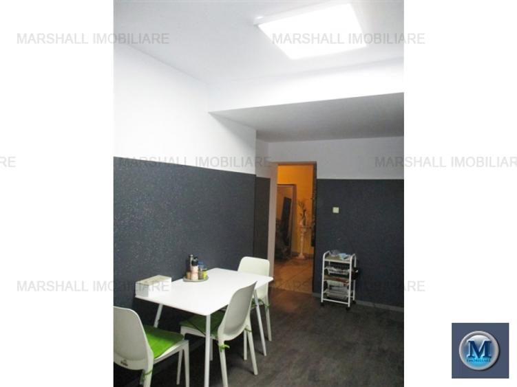 Vila cu 7 camere de vanzare, zona P-ta Mihai Viteazu, 323.55 mp #13724