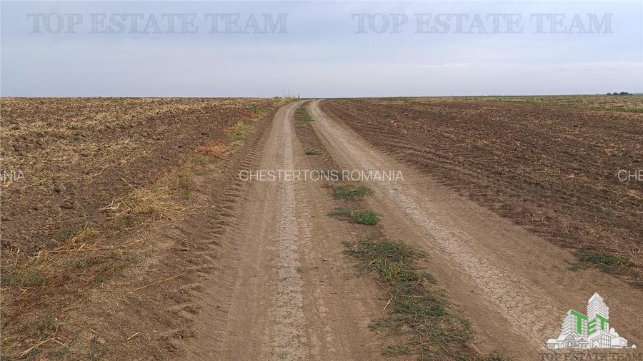 Oferim spre vanzare 6 loturi de teren extravilan (agricol) in Petrachioaia ILFOV - 14