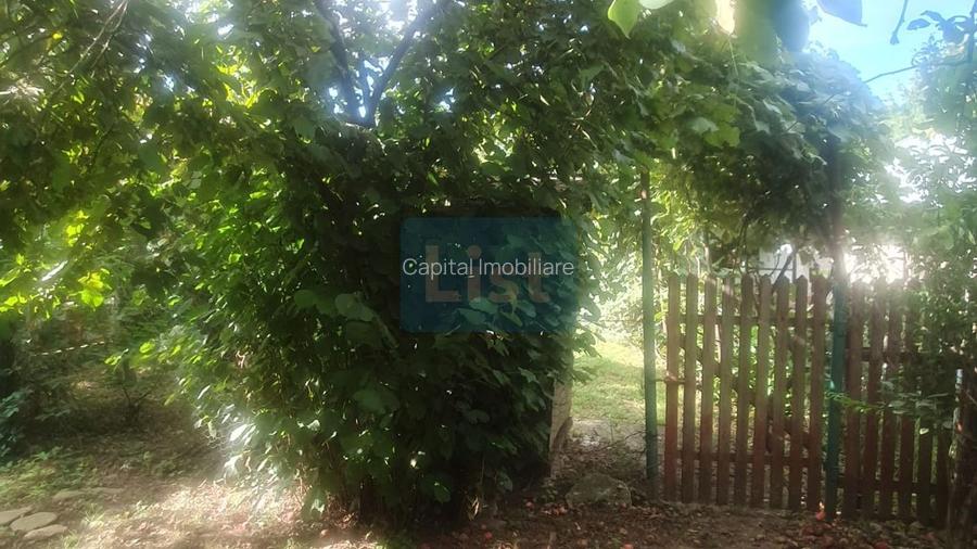 Casa Baicoi zona Schela - 11