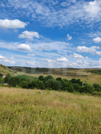 Teren intravilan ideal pentru casa, 4300 mp, Deusu - Chinteni