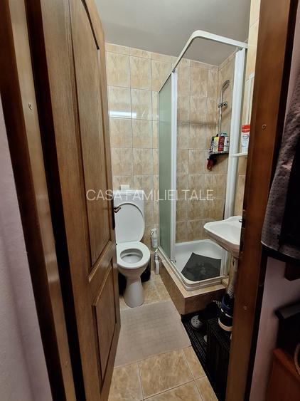 !! 3 Camere model mare.. zona Timocului-A. Saguna vedere spre Bega - 15