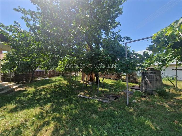Casa traditionala, cu 2.000mp teren roditor, Izvoarele, Prahova - 10