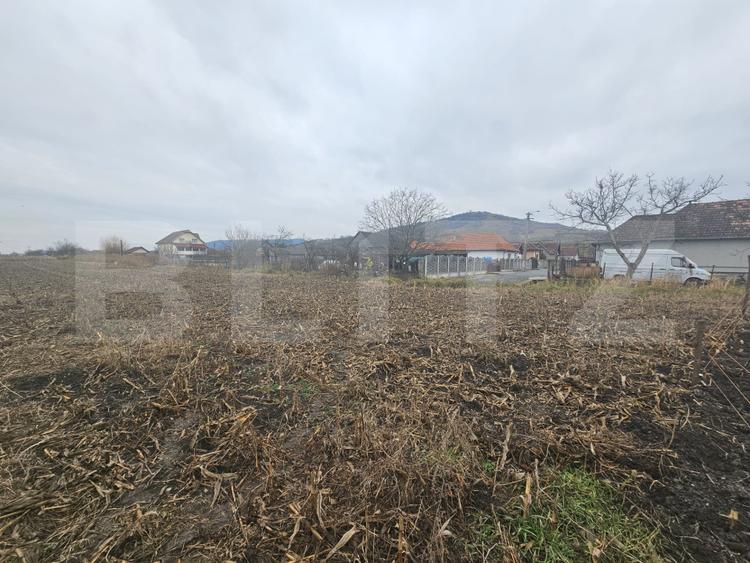 Teren extravilan 9000 mp, Ocna Mureș