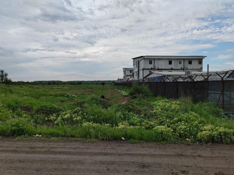 TEREN INTRAVILAN DE VÂNZARE ÎN OTOPENI-ODAI – OPORTUNITATE UNICĂ DE INVESTIȚIE!