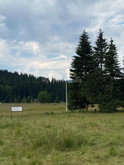 PARCELE DE VÂNZARE, pe malul râului BÂSCA, COMANDAU, COVASNA - 10