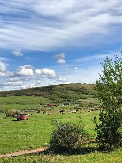 Vand teren intravilan 3000 mp in Sebes, jud Alba