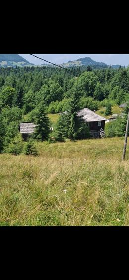 Teren intravilan Piatra Fantanele 17000 mp cu deschidere DN17