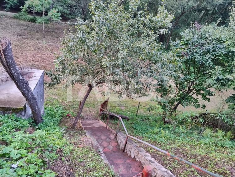 Cabana de vanzare in Ciuleni-Toplita langa lacul Cincis - 18
