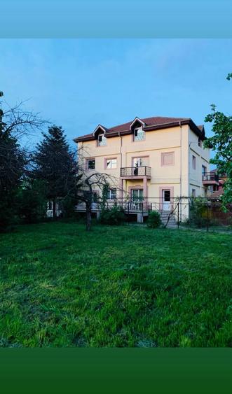 Spațiu Comercial 604 mp pe Teren 1.580 mp | Investiție Excelentă în Zona Pallady