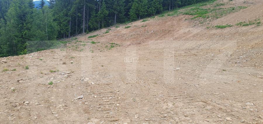 Teren extravilan pentru o casa de vis in Dorna Candrenilor