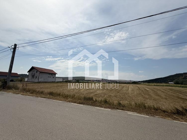 Teren Construibil 2.900 mp – Jucu de Mijloc, zona Panemar
