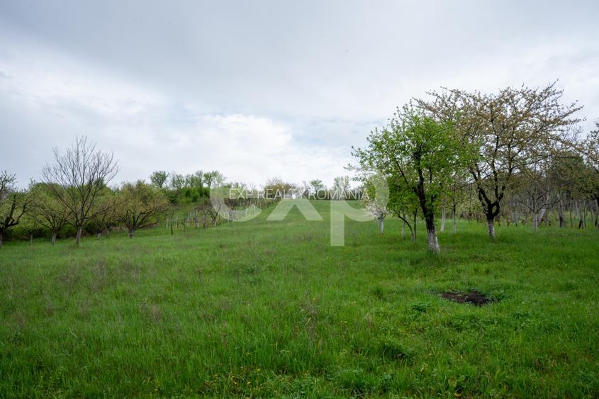 Proprietate unică, în zonă verde și liniștita - 10