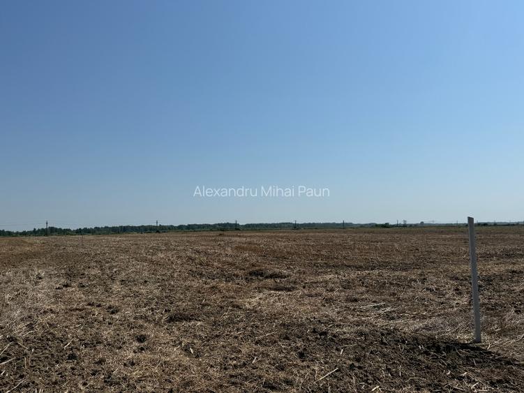 vand teren autostrada Bucurest Pitesti A1 30000 mp (3ha) cu deschidere la A1