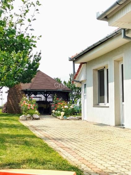 Vila Băile Felix 414mp/3556mp 7dorm 5bai 3 bucătării vie+cramă livadă filigorie